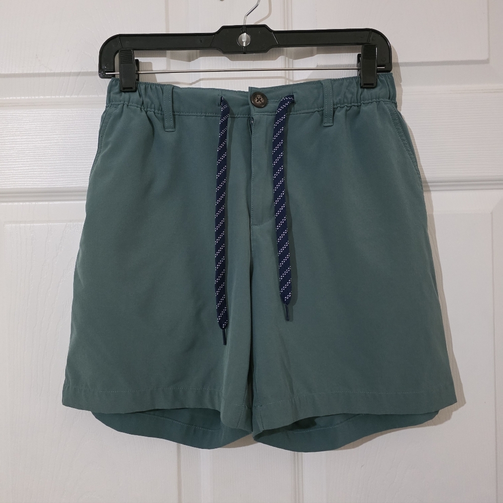 Chubbies Sea Green Shorts with Dark Blue Drawstring